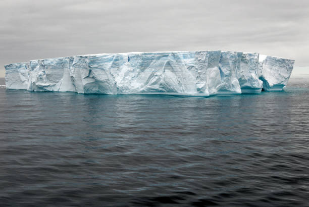 istock Antartica - Tabular Iceberg in Bransfield Strait 1398981531