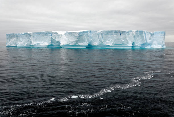 istock Antartica - Tabular Iceberg in Bransfield Strait 1398982318