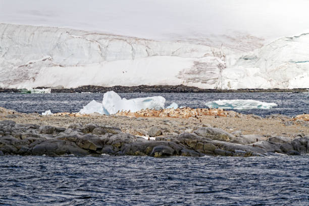cruising in antarctica - fairytale landscape - climate change south pole antarctica imagens e fotografias de stock