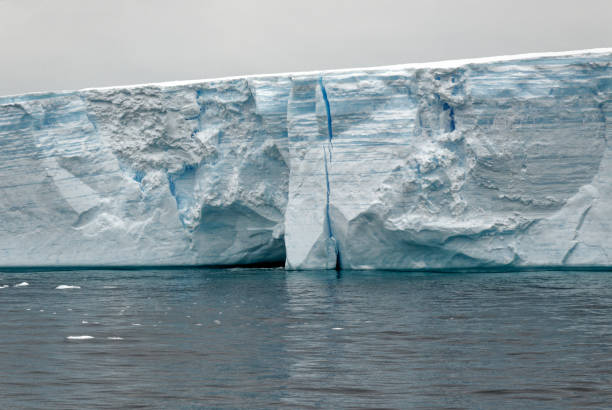 istock Antartica - Tabular Iceberg in Bransfield Strait 1398982768