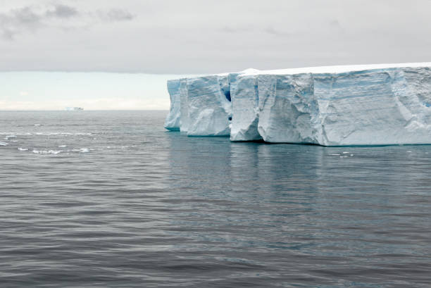 istock Antartica - Tabular Iceberg in Bransfield Strait 1398982775