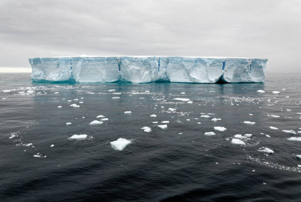 istock Antartica - Tabular Iceberg in Bransfield Strait 1398982776