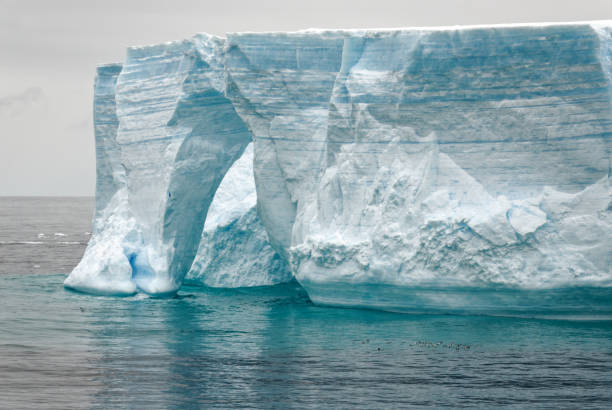 istock Antartica - Tabular Iceberg in Bransfield Strait 1398982779