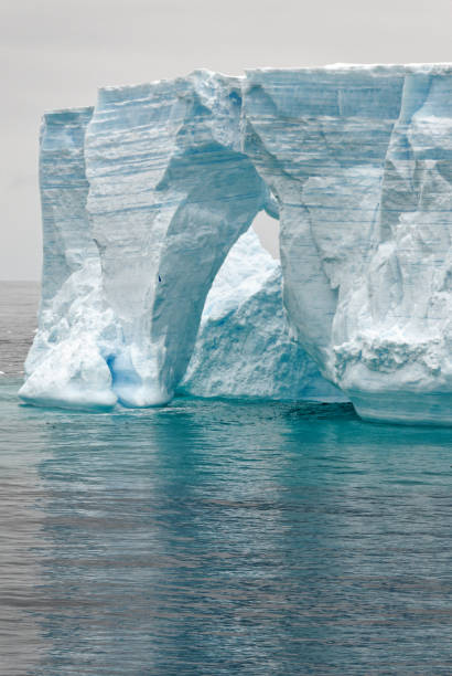 istock Antartica - Tabular Iceberg in Bransfield Strait 1398982786