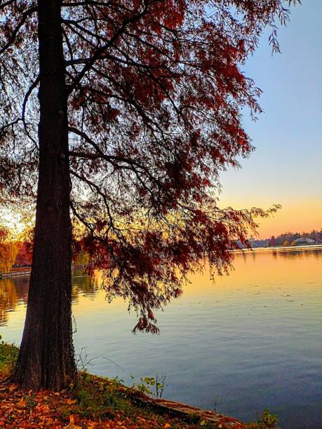 istock Perfect Autumns in the Right Eyes 1398982931