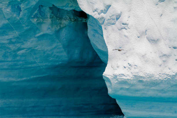 antartica - tabular iceberg in bransfield strait - ice shelf imagens e fotografias de stock