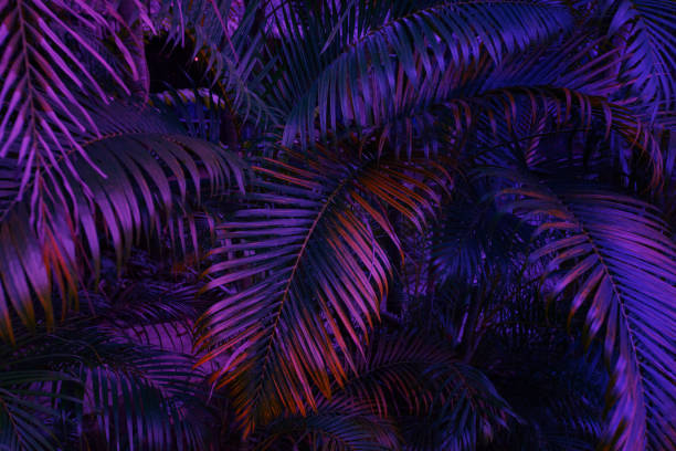 tropical background, jungle in neon light, palm tree stock photo