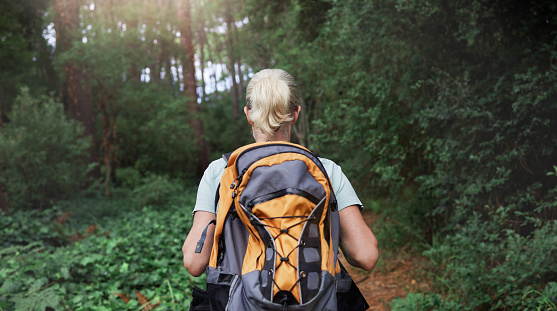 Rear view of a woman wearing a backpack hiking through a forest in nature alone. Female walking on a trail in the outdoors