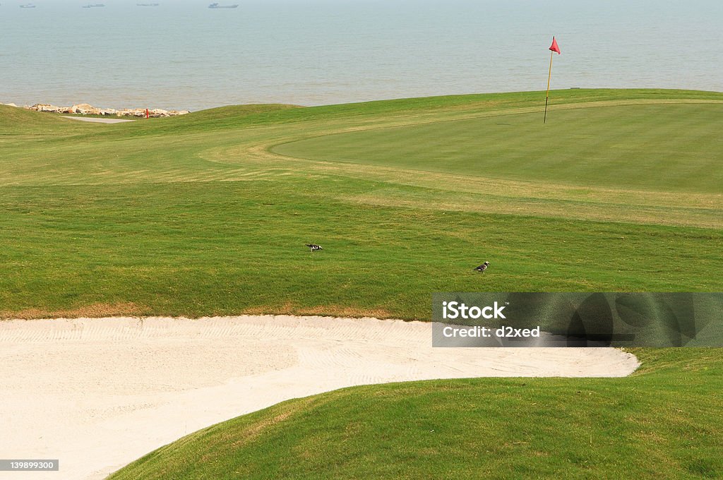 Campo de golf junto al mar - Foto de stock de Botón de inicio libre de derechos