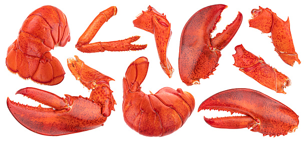 Lobster claw, tail and leg isolated on white background