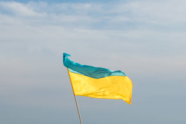 istock a ukrainian flag waving in the air during a protest 1398996532