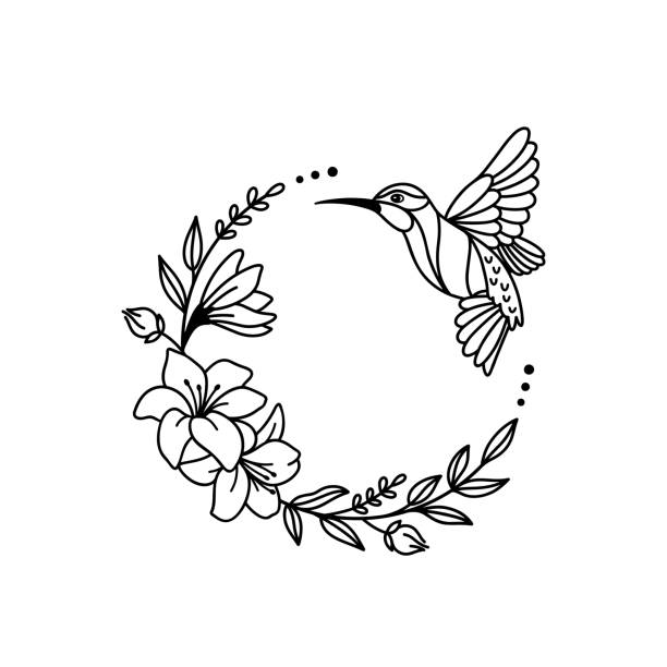Hummingbird illustration Hummingbird with a floral wreath, outline vector illustration lily stock illustrations
