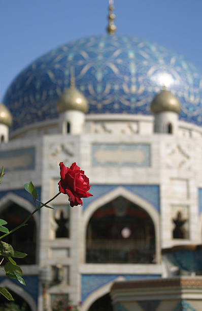 Rosas rojas sobre un fondo de arquitectura - foto de stock