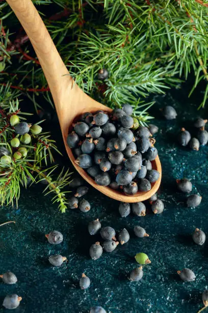 Wooden spoon with seeds of juniper on an old dark blue table.