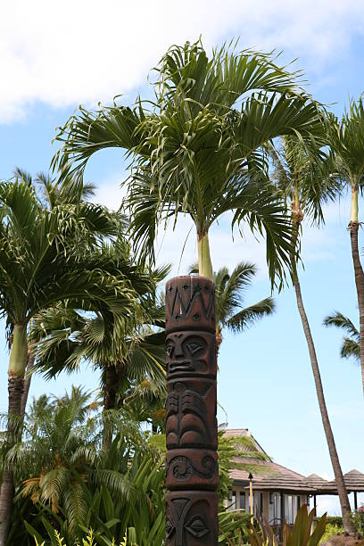 istock Tiki Totem in Palms 139900173