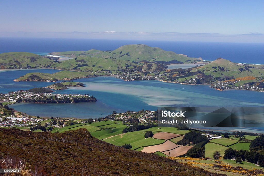 Halbinsel Dunedin City - Lizenzfrei Neuseeland Stock-Foto