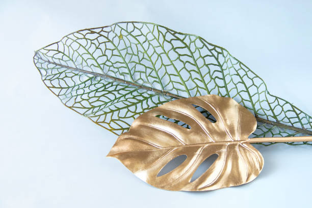 istock Golden Monstera and leaf of design 1399002928