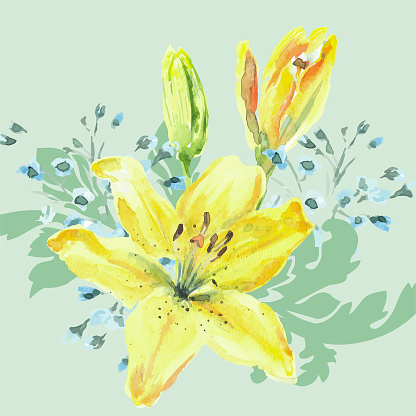 Vector. Hand drawn aquarelle painting with yellow Lilies on tuquoise background. All the elements are vector and separately grouped. Floral design for merchandise, invitation, greeting card etc.