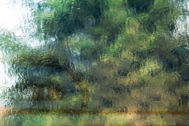 Scene of raindrops creating a blurred effect on a window while viewing a backyard pool and garden, conveying a serene and rainy atmosphere.