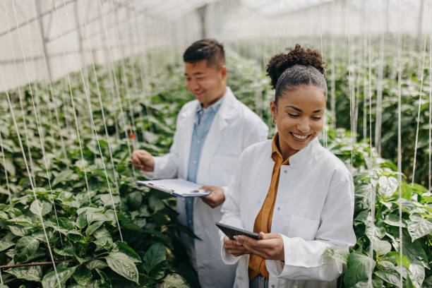 istock They look nice and healthy 1399006498