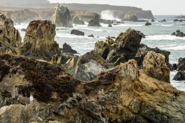 istock Rugged Rocky Coast of Big Sur 1399006611