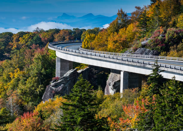 istock Tree and Rocks Below Linn Cove Viaduct 1399006693