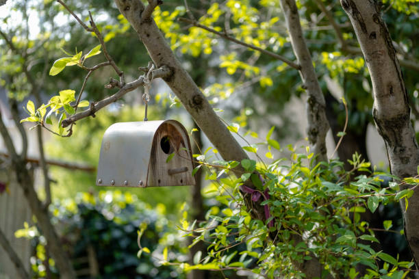 istock wooden birdhouse 1399008817