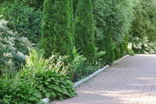 istock Beautiful summer landscape design. 1399010290