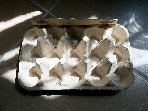 Empty egg carton with sunlight reflection and shadow