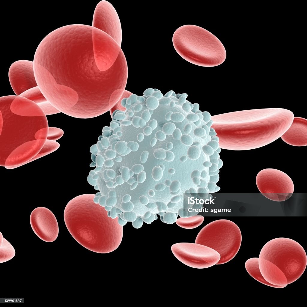 Las células sanguíneas - Foto de stock de Anatomía libre de derechos