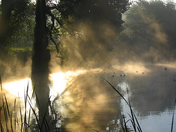 istock Old pond in the morning 139901487