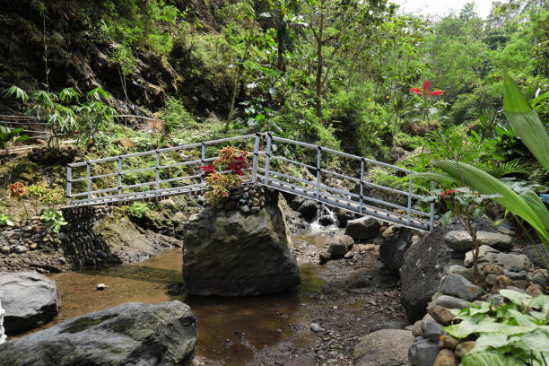 istock bridge made of bamboo 1399015164