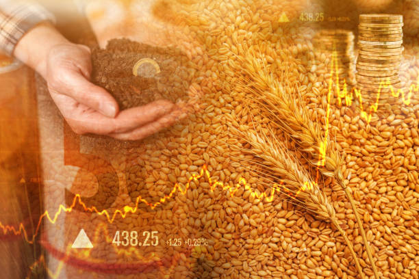 Trading Crops 3,000+ Wheat Trading Stock Photos, Pictures & Royalty-Free Images - iStock