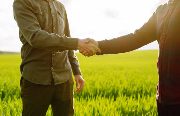 Handshake two farmer on the background of a wheat field. Agricultural business. stock photo