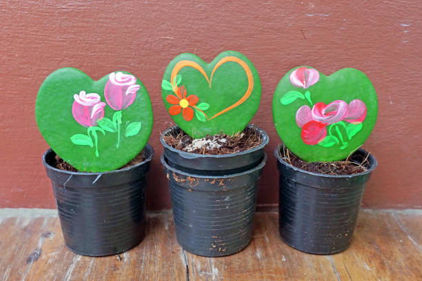 istock Heart-shaped cactus in a plastic pot 1399016019