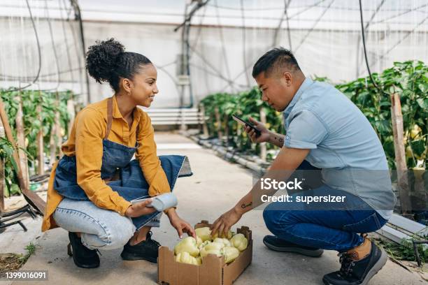 I Like These Peppers Stock Photo - Download Image Now - Store, African-American Ethnicity, Market - Retail Space
