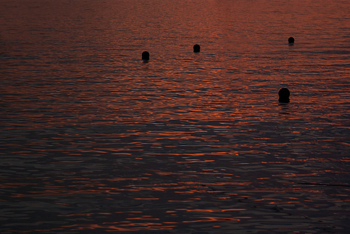 Sea water on sunset with dark colorful pink, purple, orange, deep blue reflection and ripple in calm water with black silhouette of round buoys. Natural water texture, background.