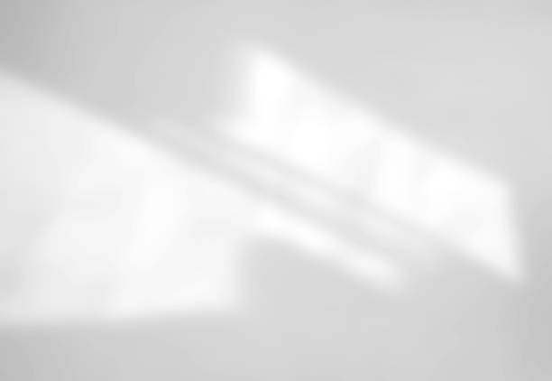 istock Abstract shadow of leaves on a white wall background 1399019027