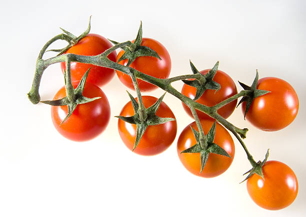 Tomato cluster serie 2 stock photo