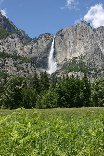 Yosemite Falls stock photo