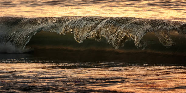 istock motion freeze of a wave just before it crashes 1399020303