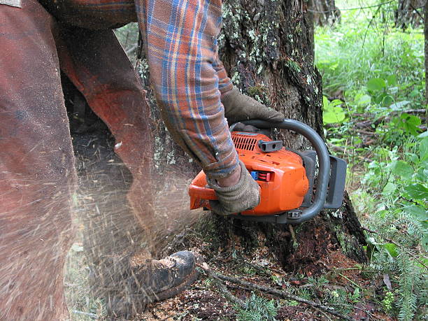 istock Close-up Of Operating Chainsaw #2 139902033
