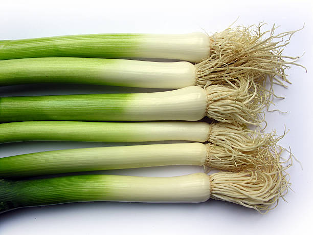 leeks in a row stock photo