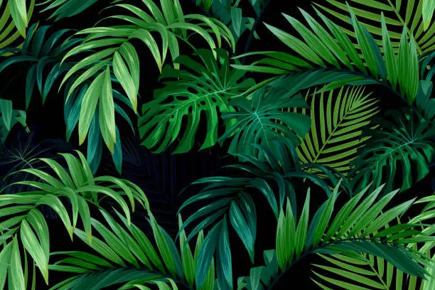 Vector illustration of Seamless hand drawn tropical vector pattern with monstera palm leaves on dark background.