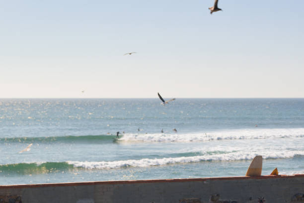 First Point at Surfrider Beach in Malibu, CAFocus is on wall with surfboards