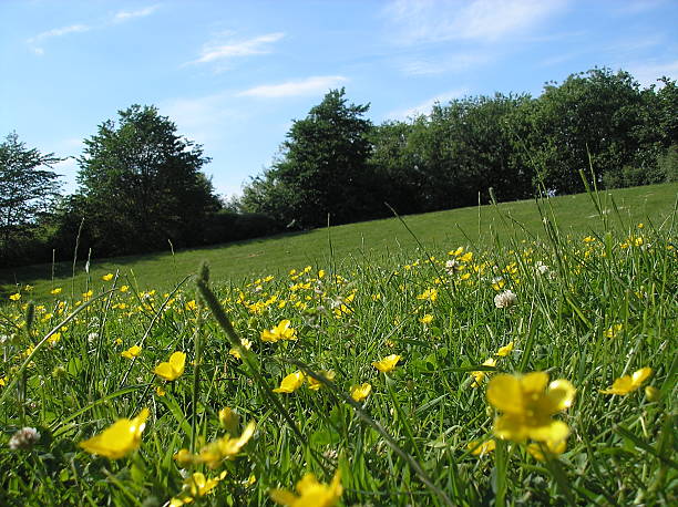 Beatiful Summer Day stock photo