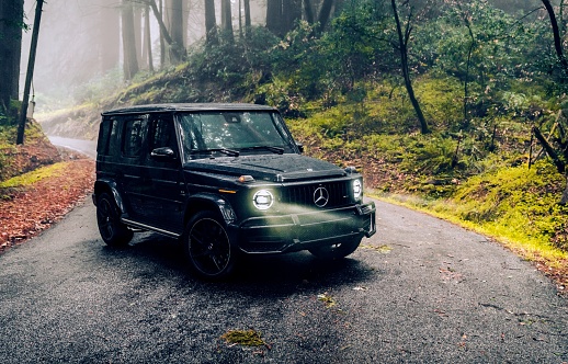 Enumclaw, WA, USA
2/2/2022
Black Mercedes Benz G-Wagon parked in the woods on a road