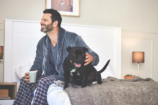 A man playing with his dog and having coffee in bed at home. A happy mature guy sitting in his bedroom during a relaxing morning and having fun with his pet