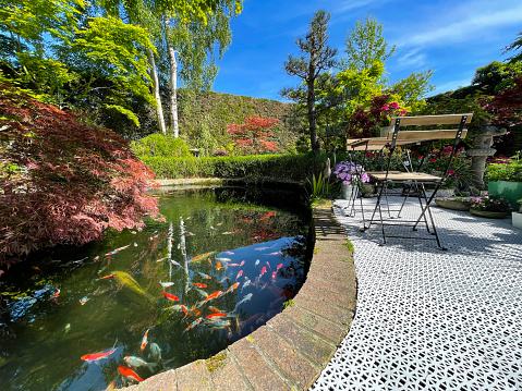 Stock photo showing ornamental Japanese-style garden with koi fish pond and outdoor dining area. Featuring a large expanse of white, interconnecting, white plastic decking tiles, providing a family space for outdoor hardwood seating.