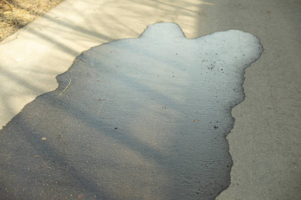 istock Puddle on asphalt. Wet road. Spilled water on pedestrian zone. 1399024505